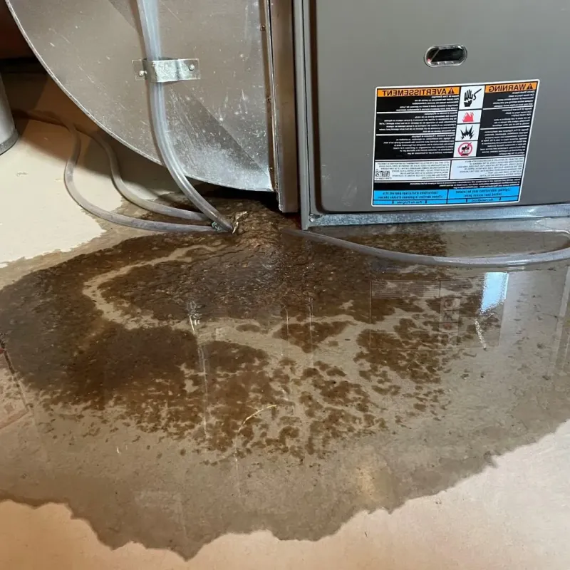 Pipe Burst and Leak Restoration in North Little Rock, AR