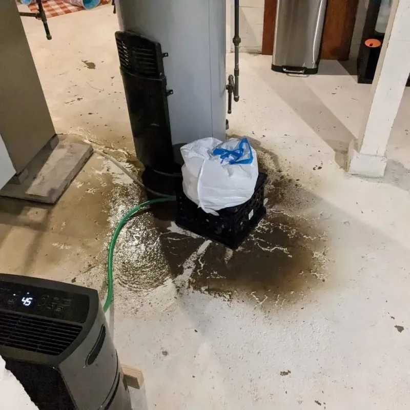 Sewage Backup Cleanup Service in North Little Rock, AR